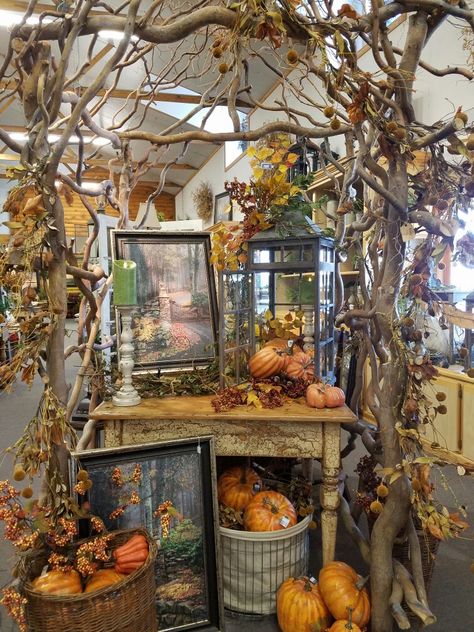 Fall Store Decorating Ideas, Fall Floral Window Display, Fall Florist Window Displays, Fall Retail Table Displays, Fall Decor For Boutique, Autumn Window Displays Retail Store Fronts, Thanksgiving Store Displays, Fall Vintage Market Displays, Fall Garden Displays