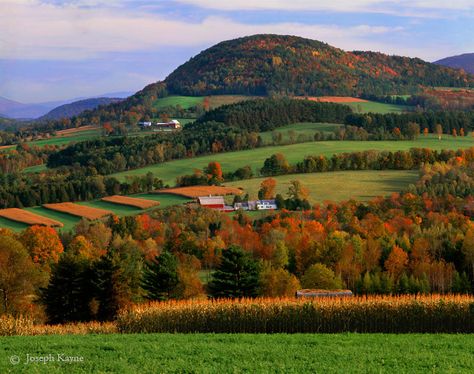 A Vermont Farm ~ beautiful! Farm And Garden, Vermont Farms, Fall Scenery, Farm Landscape, New England States, Autumn Foliage, Autumn Scenes, Autumn Scenery, Fall Pictures