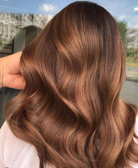 Dec 12, 2020 - Looking to update your hair color this fall/winter? Browse some hair color and balayage ideas here to give your hair a bold update! Spring Hair Trends, Warm Brown Hair, Honey Brown Hair, Hair Color Caramel, Ginger Hair Color, Spring Hair Color, Caramel Hair, Winter Hair Color, Spring Hairstyles