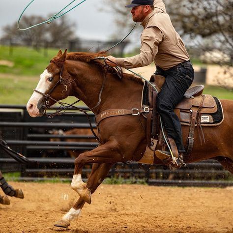 Roping Horses, Roping Horse, Western Horse Riding, Jjk Oc, Horse And Human, Team Roping, Rodeo Life, Western Riding, Dream Man