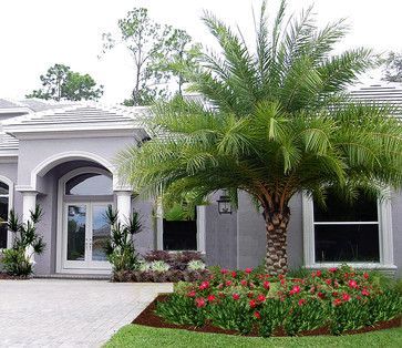 Pin on LANDSCAPE IDEAS Palm Tree Landscape Ideas, Tree Landscape Ideas, Palm Tree Landscape, Palm Trees Garden, Palm Trees Landscaping, Tropical Landscape Design, Front Yards Curb Appeal, Front Yard Decor, Florida Landscaping