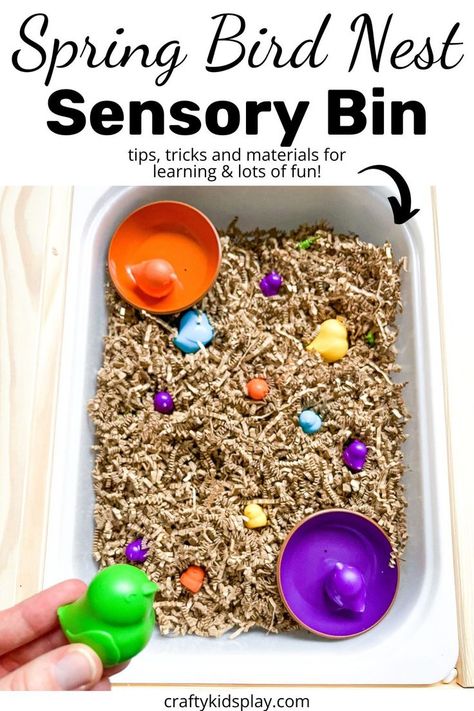 spring sensory bin Sensory Table Ideas For Toddlers, Treehouse Schoolhouse, Spring Sensory Bin, Sensory Table Ideas, Spring Sensory, Sensory Play Toddlers, Bird Nest Craft, Toddler Sensory Bins, Toddler Math