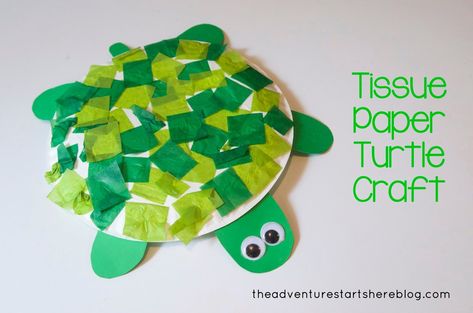 5 Fun Turtle Crafts - diy Thought. Tissue paper turtle craft. Paper Turtle, Turtle Craft, Under The Sea Crafts, Turtle Crafts, Sea Crafts, Ocean Crafts, Daycare Crafts, Paper Plate Crafts, Plate Crafts