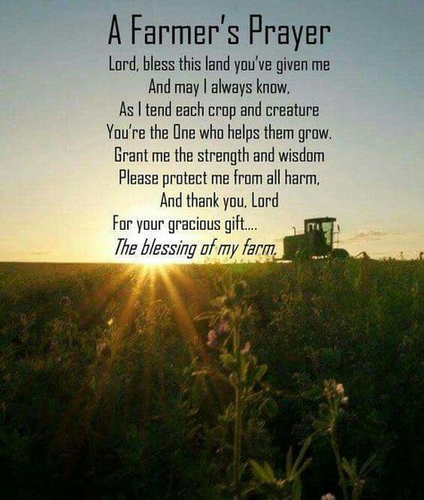 Thank you lord for all the blessings you give us. May all the farmers never forget that our crops grow because of your gracious gift!✝️ Thank A Farmer Quotes, Farmer Poem, Farmer Quote, Agriculture Quotes, Farm Life Quotes, Farmer Quotes, Cowboy Prayer, Farm Quotes, Summer Beach Quotes