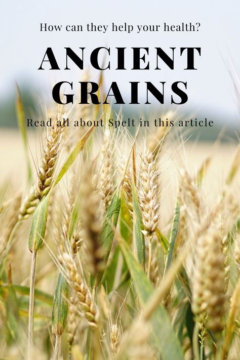 What exactly are they and how can they benefit your health? Read more in this article on Spelt... #spelt #ancientgrains #ebubblelife #foodiefriday #health #australiangrains All About Spelling, Spelt Flour, Ancient Grains, Gluten Intolerance, Food Source, Food Staples, Healthy Baking, How Can, Health Benefits