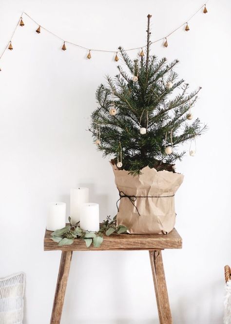 christmas decor. christmas ideas. christmas decorations. CHRISTMAS TREE. #CHRISTMASTREE #christmasdecor #christmasideas #christmasdecorations #windowdecoration Scandinavian Holiday Decor, Small Christmas Tree, Real Christmas Tree, Natural Christmas, Simple Christmas Tree, Christmas Inspo, Small Christmas Trees, Minimalist Christmas, Noel Christmas