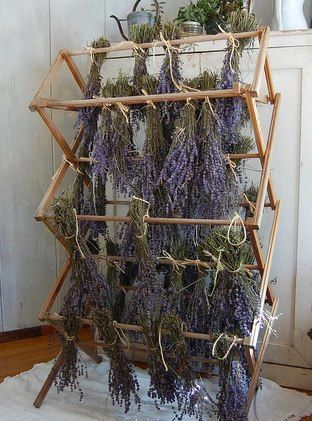 Drying Lavender, Herbal Apothecary, Lovely Lavender, Dried Lavender, Growing Herbs, Drying Rack, Drying Herbs, Tiny Homes, Permaculture