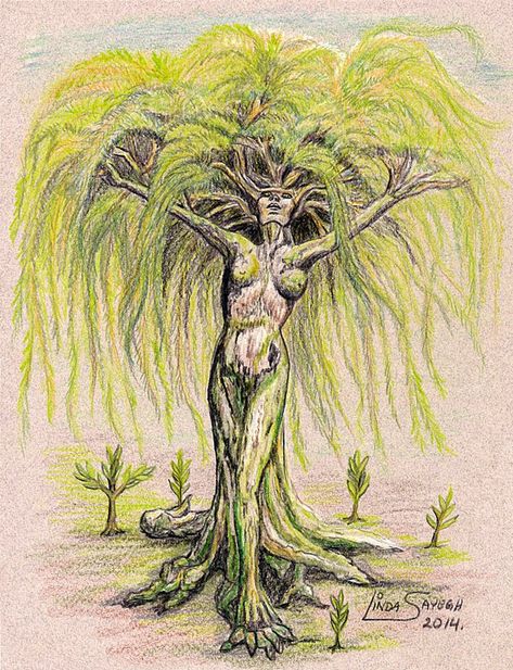 Willow Tree Dryad, Tree Person Art, Tree Lady Tattoo, Tree Woman Drawing, Ent Drawing, Willow Tree Woman, Ent Tattoo, Dryad Tattoo, Trees With Faces