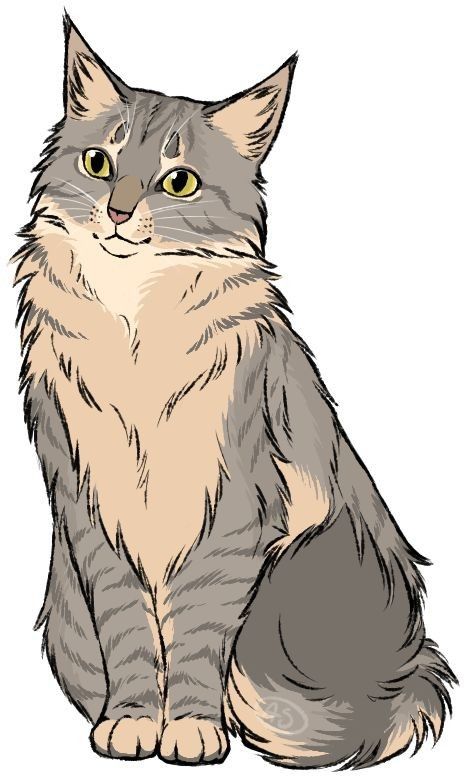 Warrior Name, Tumblr Sketches, Cat Drawing Tutorial, Cats Art Drawing, Animal Illustration Art, Warrior Cat Drawings, Cat Art Illustration, Cat Sketch, One Last Time