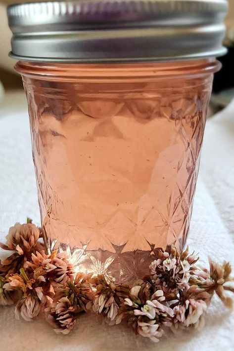 Recipe for How to Make White Clover Jelly – Hawk Point Hobby HomeStead White Clover Jelly, Clover Jelly, Apple Blossom Recipe, Herbal Business, Freezing Veggies, Clover Blossom, Flower Recipe, Canned Spaghetti Sauce, Flower Jelly