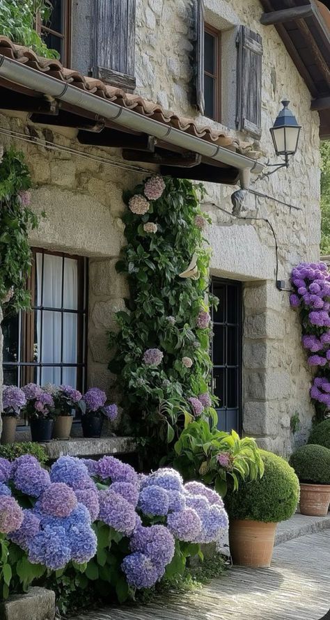 French Rose Garden, French Country Garden Patio, Italian Patio, Countryside Garden, Parisian Garden, Parisian Kitchen, Purple Hydrangea, Green Ideas, Garden Inspo