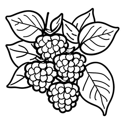 Coloring Page, Blackberry, Coloring Pages, Color, Art, Colouring Pages