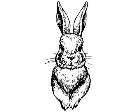 Rabbit Image, Rabbit Artwork, Rabbit Vector, Rabbit Drawing, Bunny Tattoos, Rabbit Head, Vintage Rabbit, Antique Images, Bunny Face