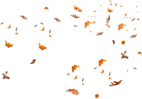 Nsb Pictures, Falling Autumn Leaves, Png Images Transparent Background, Fall Leaves Png, Leaf Png, Calming Patterns, Photoshop Rendering, Leaves Png, Nature Elements