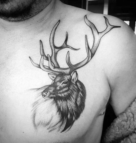 90 Elk Tattoo Ideas For Men - Cervidae Animal Designs Elk Tattoos, Cat Skull Tattoo, Elk Tattoo, Antler Tattoo, Elk Skull, Wildlife Tattoo, Hunting Tattoos, Skull Hand Tattoo, Tattoos Pictures