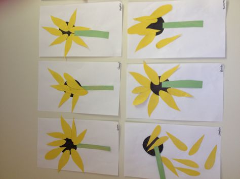 Sunflowers Sunflower Daycare Theme, Sunflower Craft Kindergarten, Sunflower Lesson Plans, Sunflowers Activities For Preschool, Sunflower Lesson Plan Preschool, Sunflower Toddler Activities, Sunflower Theme Preschool, Sunflower Theme For Preschool, Sunflower Crafts For Preschoolers