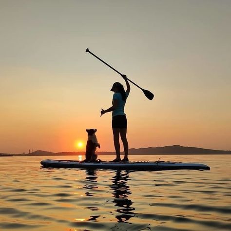 Stand Up Paddle Boarding Photography, Paddleboarding With Dog, Water Activities Aesthetic, Paddle Board With Dog, Dog On Paddle Board, Paddle Boarding Pictures Aesthetic, Paddle Boarding Dog, Paddle Board Dog, Dog Paddle Boarding