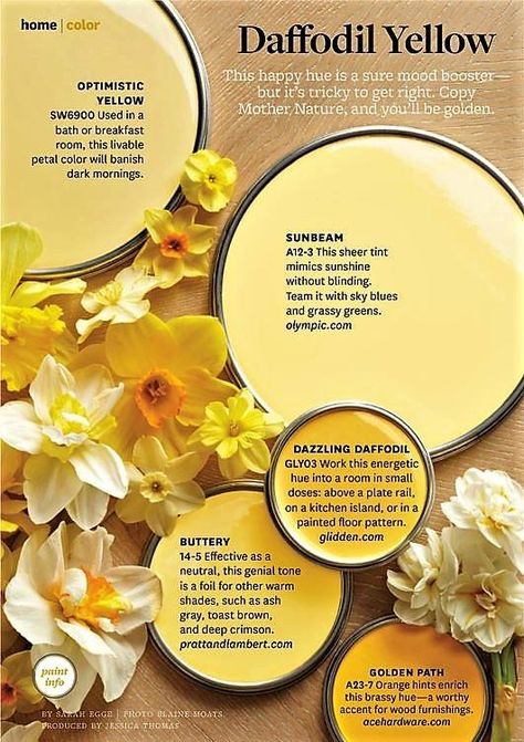 Shades Of Yellow Paint Bedroom, Yellow Kitchen Walls With Dark Cabinets, Yellow Painted Walls Bedroom, Yellow Garden Wall, Optimistic Yellow Sherwin Williams, Golden Yellow Bathroom Ideas, Yellow Paint Colors For Kitchen Walls, Yellow Bedroom Paint Colors, Daffodil Color Palette