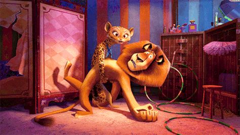 Alex and Gia- Madagascar 3 Alex And Gia, Alex Madagascar, Madagascar Movie Characters, Madagascar Movie, Wanted Movie, Ben Stiller, 2012 Movie, Facebook Timeline Covers, Timeline Covers