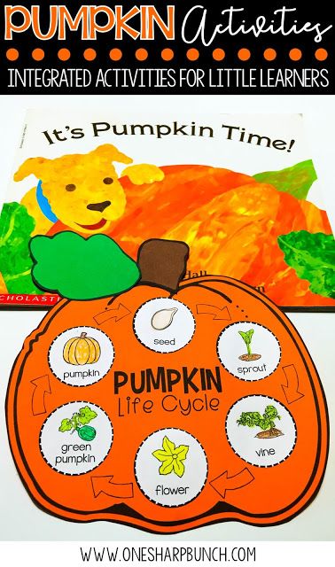 FREE life cycle of a pumpkin activities, including pocket chart sentences and sequencing printable.  Perfect for your pumpkin investigations!  Plus, we love the adorable pumpkin crafts! Kindergarten Pumpkin, Science Halloween, Life Cycle Of A Pumpkin, Pumpkin Investigation, Life Cycle Activities, Pumpkin Lessons, Veselý Halloween, Pumpkins Preschool, Pumpkins Kindergarten