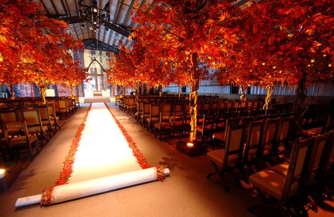 FROST DC Wedding Aisles, Fall Wedding Ceremony, Wedding Ceremony Ideas, Wedding Aisle Decorations, Fall Wedding Decorations, Aisle Runner, Aisle Decor, Wedding Aisle, Wedding Ceremony Decorations