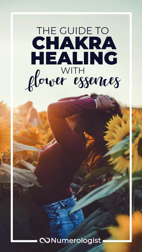 Australian Bush Flower Essences, Flowers For Healing, Flower Essences Diy, Balanced Chakras, Flower Healing, Flower Essences Remedies, Fibro Flare, Healing Flowers, Bach Flowers