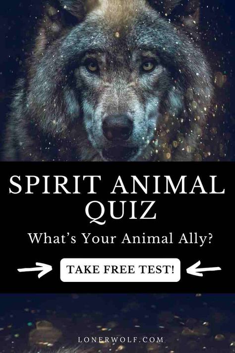 Spirit Animal Quiz: What’s Your Animal Ally? Spirit Animal Test, What's My Spirit Animal, Find My Spirit Animal, Horse Spirit Animal, Spirit Animal Quiz, Whats Your Spirit Animal, Find Your Spirit Animal, Spirit Animal Meaning, Native American Totem