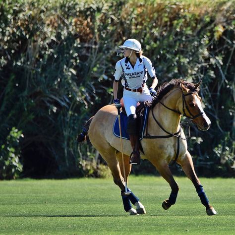 Polo Ponies, Shirt Photoshoot, Horsey Life, Horse Club, Polo Horse, Equestrian Aesthetic, Polo Women, Western Riding, Horse Aesthetic