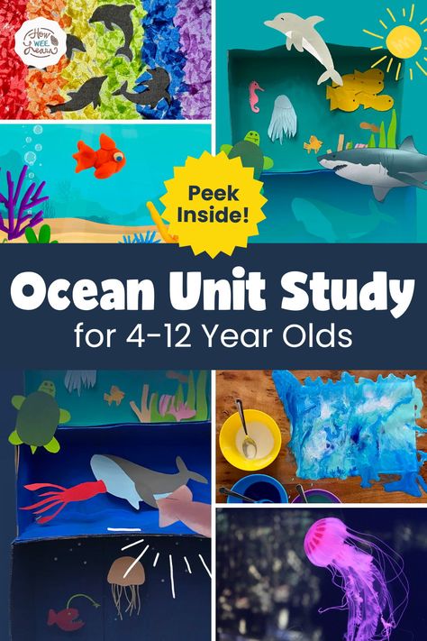 Learn all about the ocean with this amazing unit study! The science and learning is overflowing with this one. Children of all ages will enjoy the hands on activities and deep, engaging learning that takes place as they learn about jellyfish, dolphins, currents, ocean waves, and the various layers of the ocean as well! Layers Of The Ocean Project, Layers Of The Ocean Craft, Ocean Science Experiments For Kids, Ocean Homeschool Activities, Ocean Camp Activities, Ocean Lessons For Kindergarten, Marine Science Activities, Aquarium Activities For Kids, Ocean Crafts Elementary School