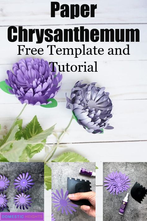 diy paper flower tutorial, free svg and printable templates, paper chrysanthemum, paper craft ideas Paper Chrysanthemum, Free Paper Flower Templates, Flower Templates Printable, Paper Flower Centerpieces, Paper Flower Patterns, Paper Flower Template, Paper Flowers Craft, Chrysanthemum Flower, Giant Paper Flowers