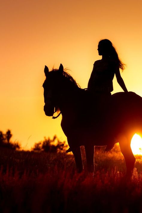 Wie würdest du dich fühlen, wenn die Zeit mit deinem Pferd immer harmonisch und leicht sein könnte? Das ist möglich und ich kann dir beibringen wie du genau das erreichst! Kein Druck. Keine Dominanz. Keine dogmatischen Trainingsregeln. Wir verabschieden und von althergebrachten Trainingsmethoden und Mythen! Ich zeige dir, wie du dir den Traum von Leichtigkeit und Harmonie mit deinem Pferd selbst erfüllen kannst. Photos With Horses, Summer Shots, Cowboy Love, Beautiful Ocean Pictures, Cute Horse Pictures, Horse Wallpaper, Ocean Pictures, Night Scenery, Brown Horse