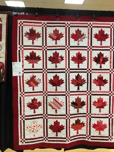 Canada Quilt, Canadian Quilts, Quilt Of Valor, Stitch Work, Fall Quilts, Quilting Patterns, Quilting Ideas, Diy Wood, Diy Wood Projects