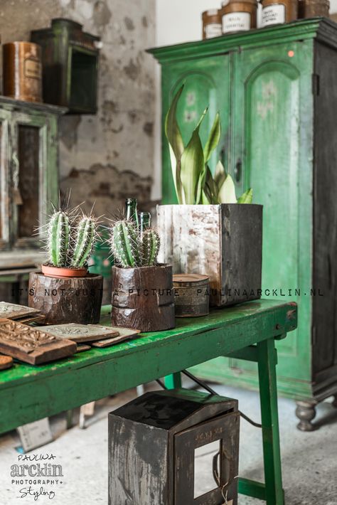 RAW MATERIALS STORE | real photos, not 3D on Behance Paulina Arcklin, Green Painted Furniture, Ivy House, Green Furniture, Casa Vintage, Dark Interiors, Green Interiors, Green Decor, Green Rooms