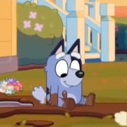 Socks Heeler Bluey Pfp, Bluey Characters Socks, Socks From Bluey Cartoon, Bluey Pfp Cute, Muffin Bluey Pfp, Bluey Reaction Images, Socks Heeler Bluey, Socks Bluey Pfp, Socks From Bluey