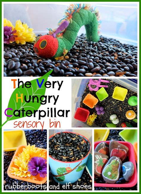 Caterpillar Sensory Bin, Hungry Caterpillar Sensory Bin, Very Hungry Caterpillar Sensory, Caterpillar Sensory, Caterpillar Activities, Eric Carle Activities, The Very Hungry Caterpillar Activities, Hungry Caterpillar Activities, Insects Theme