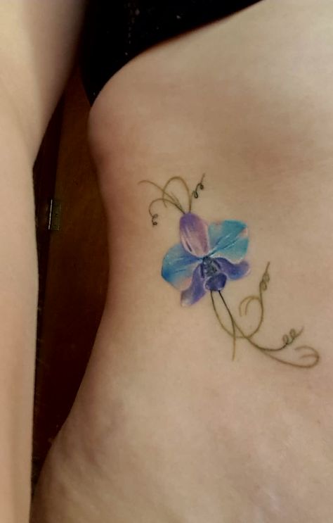 The tattoo I got from Lauren Roberts at Adara Tattoo Collective, York. Blue orchid, tendrils. Blue Orchids Tattoo, Thumb Print Tattoo Ideas, 96 Tattoo, Blue Orchid Tattoo, Watercolor Orchid Tattoo, Thumbprint Tattoo, Music Symbol Tattoo, Pansy Tattoo, Circular Tattoo