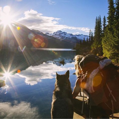 Camping With Dogs Instagram Will Inspire You To Go Hiking With Your Dog Thunder Jacket For Dogs, Camping With Dogs, Dog Sunset, Dogs Instagram, Rivers And Roads, Hiking Photography, Camping Aesthetic, Vision Board Pictures, Dog Camping