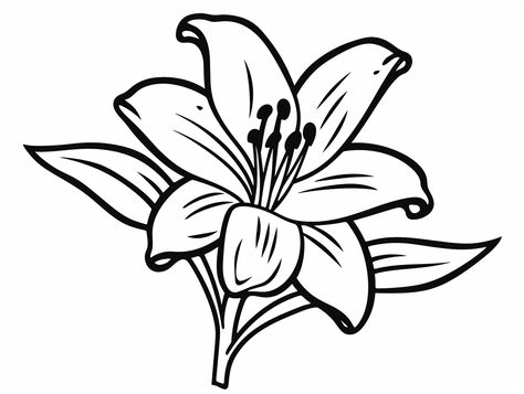 illustration of Lily-flower coloring page Etching Art, Printable Flower Coloring Pages, Lilly Flower, Black Png, Love Lily, Match 3, Flower Printable, Flower Coloring Pages, Flower Template