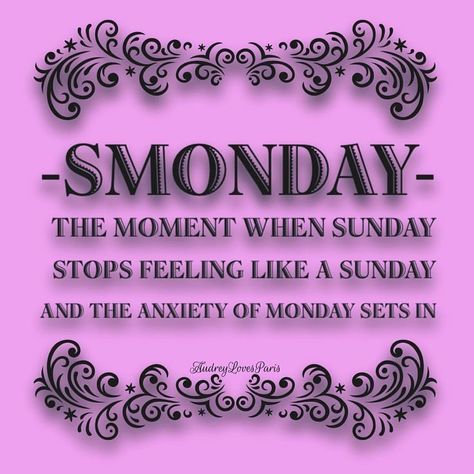 Tomorrow Is Monday Humor, Sunday Night Quotes, Sunday Humor, Sunday Quotes Funny, Tomorrow Is Monday, Monday Humor, Weekday Quotes, Monday Quotes, Sunday Quotes