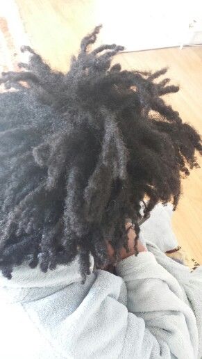 2 years freeform from scratch Short Freeform Locs, Freeform Afro, Freeform Locs Black Women, Freeform Dreadlocks, Freeform Dreads Taper, Semi Free Form Locs, Women With Freeform Locs, Freeform Locs, Semi Freeform Locs