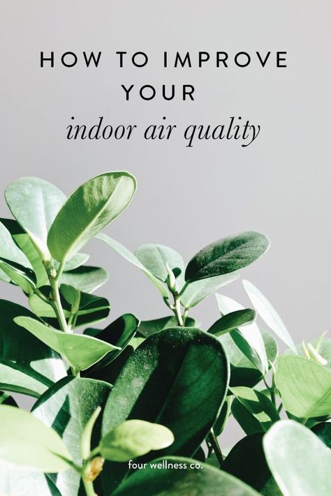 How to improve your indoor air quality with natural home air purifiers. (And why indoor air quality impacts your health.) // Wellness tips for healthy living at fourwellness.co/blog  #airquality #healthyliving #airpollution #airpurifiers #wellnesstips #cleanair Air Filtering Plants, Ficus Audrey, Hygge Ideas, Christian Hospitality, Business Mom, Natural Air Purifier, Hygge Life, Chemical Free Cleaning, Loving God