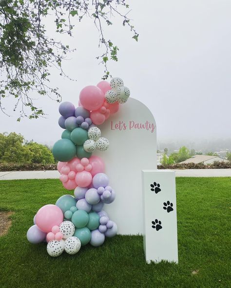 Happy Birthday Balloons, Balloon set up, Backdrop, Puppy theme birthday, cake stand, puppy paws. Dog Birthday Balloon Garland, Puppy Party Balloon Arch, Come Sit Stay Puppy Party, Dog Birthday Backdrop, Puppy Balloon Garland, Puppy Themed Birthday Cake, Puppy Party Cake, Balloon Boutique, Dog Party Decorations