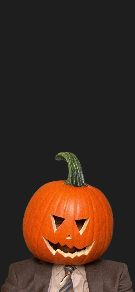 wallpaper halloween the office dwight pumpkin The Office Dwight Wallpaper, Dwight Wallpaper, The Office Wallpaper, Michael Scott Paper Company, The Office Characters, Wallpaper Office, The Office Dwight, Pumpkin Wallpaper, The Office Show