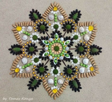 Land Art Mandala Compositions By Tamas Kanya Seed Mandala, Seed Mosaics, Seed Painting, Natural Mandala, Nature Mandalas, Mandala Nature, Nature Mandala, Seed Art, Grateful For Everything