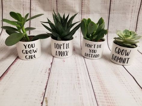 Pots Plants, Plant Puns, Plant Pot Design, Plant Pot Diy, Painted Pots Diy, Painted Plant Pots, Painted Flower Pots, Ceramic Plant Pots, Pot Designs