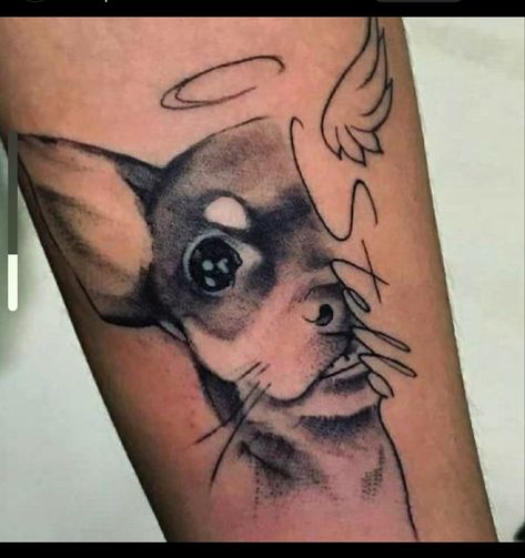 Dog Tattoos Chihuahua, Dog Memorial Tattoos Chihuahua, Chihuahua Memorial Tattoo, Tattoo Ideas Female Dog, Pet Portrait Tattoos, Simple Cat Tattoo, Pet Tattoo Ideas, Portrait Tattoo Sleeve, Tatoo Dog