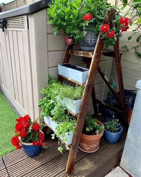 Herb Ladder, Herb Ladder Planter, Outdoor Ladder Decor Garden Ideas, Plant Stand Using Ladder, Ladder Shelf Garden, Ladder Ideas, Garden Ladder Ideas, Ladder Planter, Garden Ladder