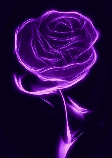 Glowing Purple Aesthetic, Dark Purple And Black Aesthetic, Purple Rose Aesthetic, Galaxy Wallpaper Purple, Purple Roses Aesthetic, Purple Aesthetic Pictures, Neon Purple Wallpaper, Aesthetic Background Purple, Purple Galaxy Wallpaper