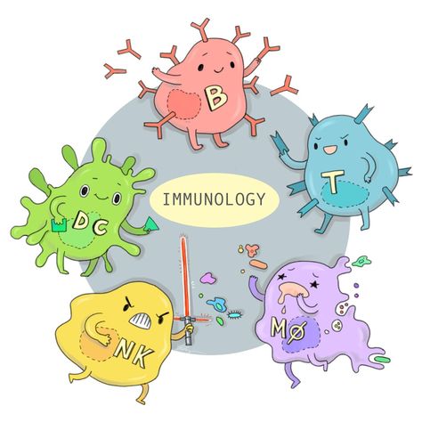 Types Of Blood Cells, Human Organ, Medical Laboratory Science, Natural Antibiotics, Laboratory Science, Medical Laboratory, Medical Art, Alternative Health, Microbiology