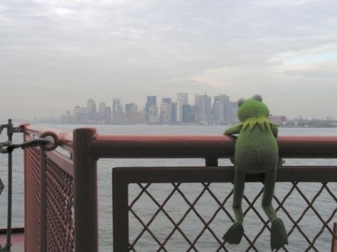 Kermit the frog enjoying the NEWYORK skyscrapers. <3 Sapo Kermit, Kermit Meme, Bye Bye Baby, Kermit Funny, Mexican Humor, Losing Weight Motivation, Kermit The Frog, Simple Green, Best Memes